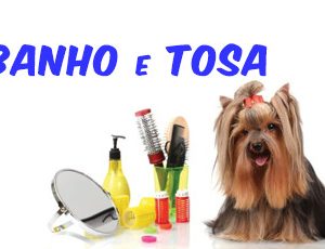 Curso de Banho e Tosa