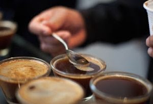 CURSO: DEGUSTADOR DE CAFÉ PROFISSIONAL