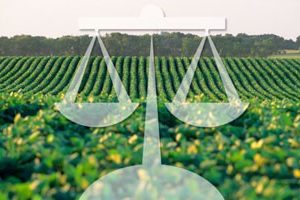 Curso Básico de Direito Agrário